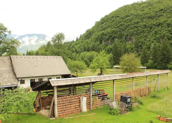 Apartments Villa Dov